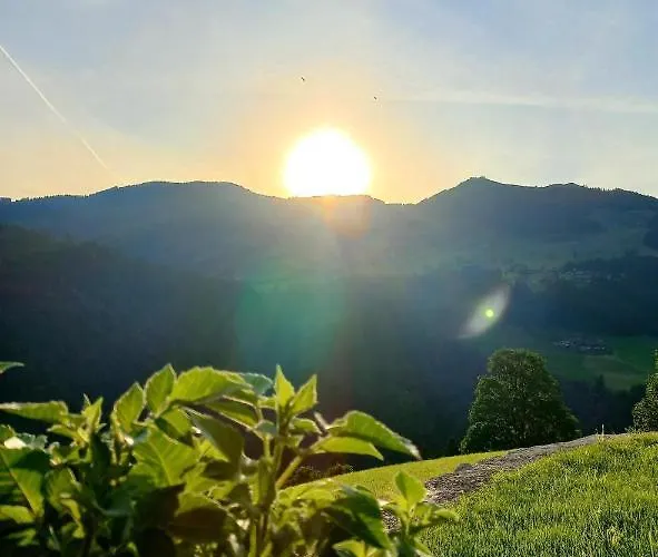 Bergappartement Kink * 호프가르텐 임 브릭젠탈