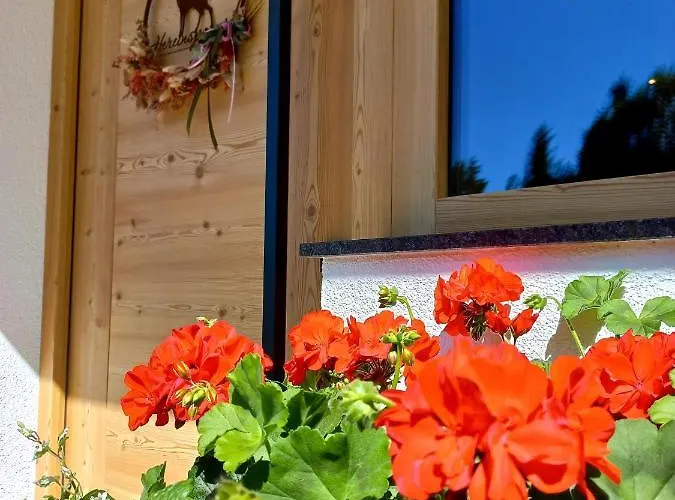 Bergappartement Kink *