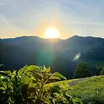 Bergappartement Kink * Hopfgarten im Brixental